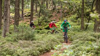 Mountainbike-Tour im Naturpark Oberer Bayerischer Wald
