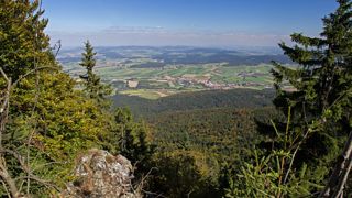 Blick über den Naturpark Oberer Bayerischer Wald