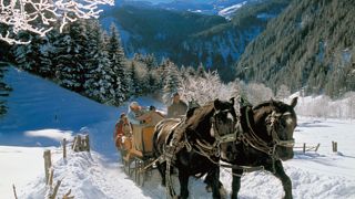 Pferdeschlitten im Schnee, Großarltal, Ski amadé