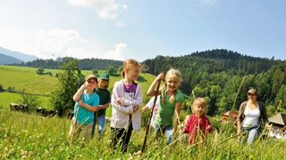 Bergwiese, Kinder, Wildwiese, Baden-Württemberg, Urlaub auf dem Bauernhof