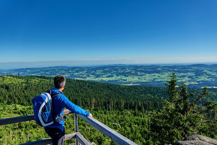 Wander, Ausblick, Bayerischer Wald, Goldsteig