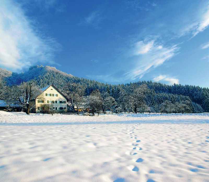 Schneelandschaft, Bauernhof im Schnee, Baden-Württemberg